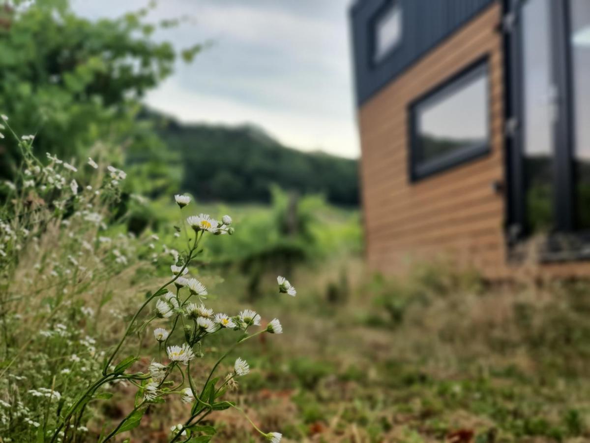 Pop Tiny House Balaton Apartment Kaptalantoti ภายนอก รูปภาพ